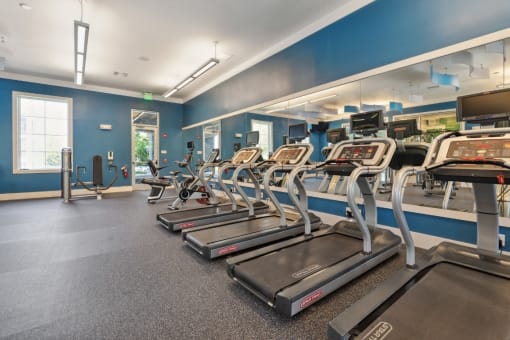Fitness Center at Village at Terra Bella Apartments, FL