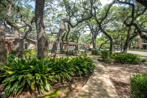 Courtyard at Village Oaks Apartments, Austin, TX, 78759