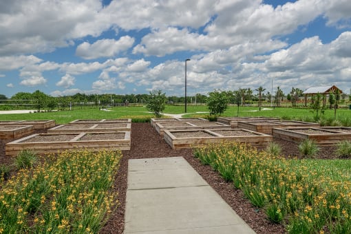 Community garden boxes at Echo Lake, Florida