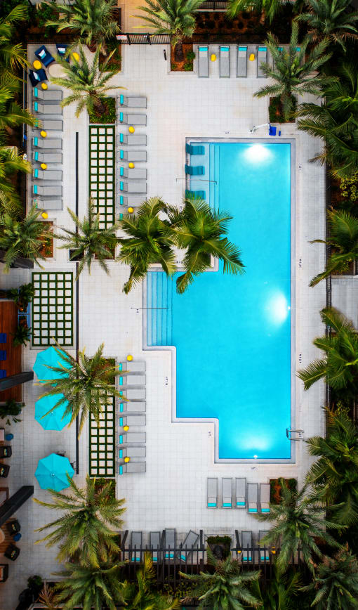 Aerial view of pool  | District at Rosemary at The District at Rosemary, Sarasota, Florida