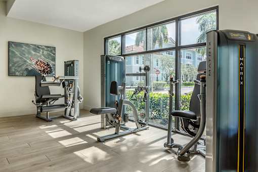 A gym with a treadmill, weights, and exercise equipment.