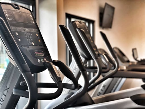 a row of cardio machines in a gym