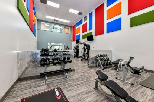 a spacious fitness center with cardio equipment and free weights