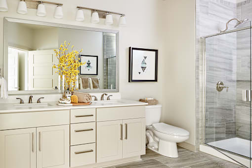 A bathroom with a white toilet and a large mirror above the sink.