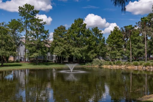 Picturesque water feature at Saddleworth Green, Florida, 34474