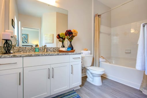 Spacious and Bright Bathroom at Thornberry Apartments  at Thornberry Apartments, Charlotte, NC 28262