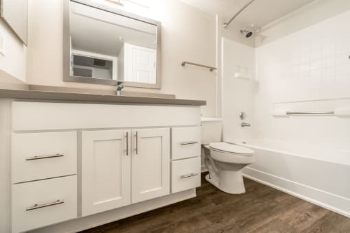 Bathroom at Monterey Ranch, Austin, Texas