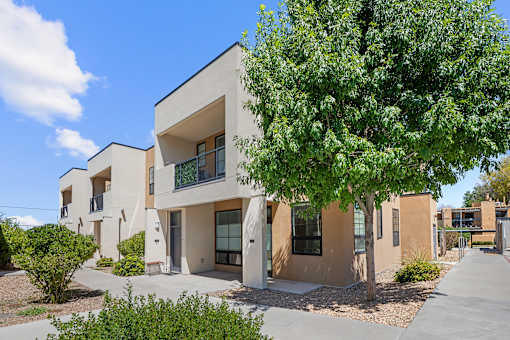 A tree is in front of a building with a clear blue sky in the background.