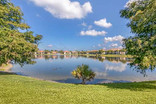 View by the Community Lake