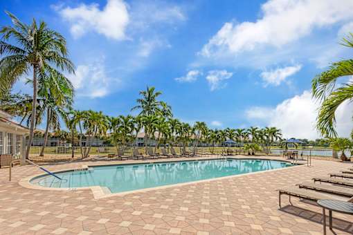 A pool surrounded by palm trees and lounge chairs.