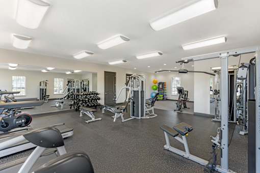A well-equipped gym with various exercise machines and weights.