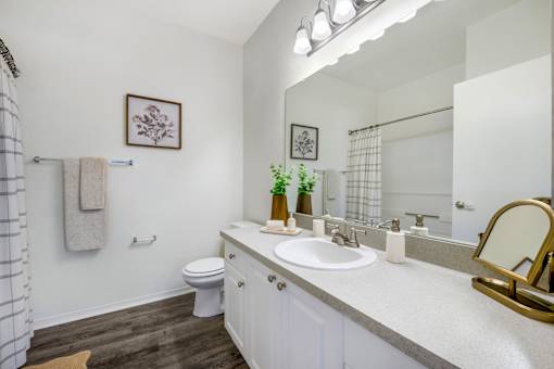A bathroom with a toilet, sink, mirror, and a plant on the counter.