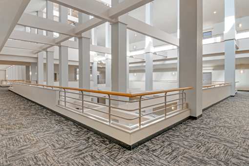 A large open space with a carpeted floor and a series of white columns.
