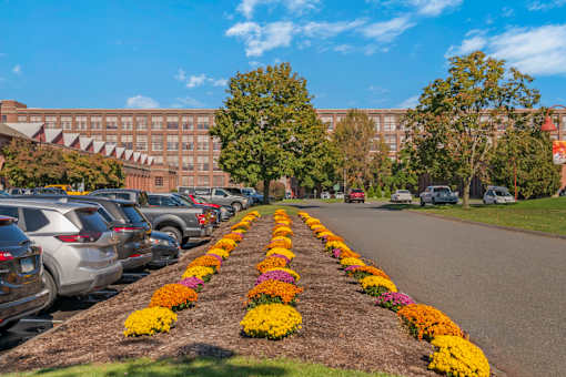 A flower bed with yellow and orange flowers in front of a parking lot.