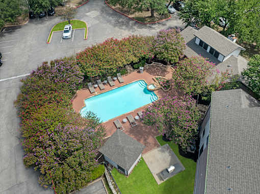 A swimming pool surrounded by trees