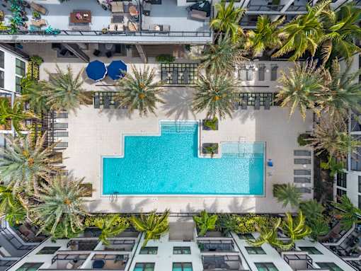 A swimming pool surrounded by palm trees.