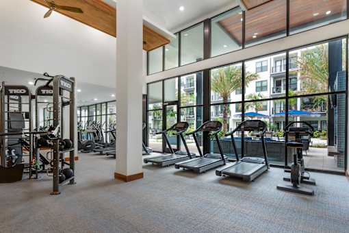A gym with treadmills, elliptical machines, and weightlifting equipment.