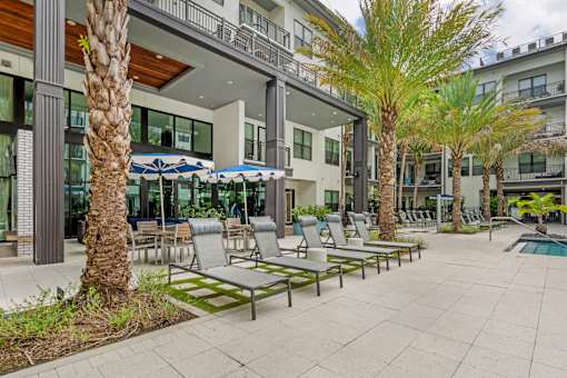 A patio area with a pool and palm trees.