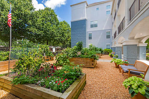 A garden with a flag on a pole and a building in the background.