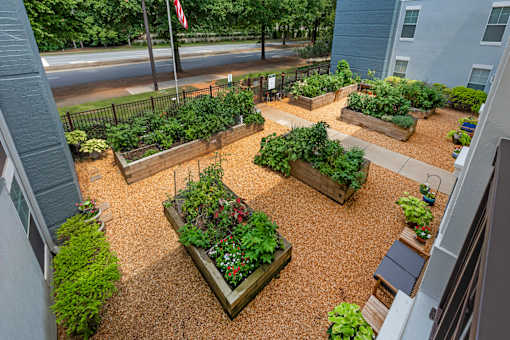 A view of a courtyard with a gravel surface and a variety of plants.