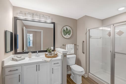 A bathroom with a white toilet, sink, and mirror.