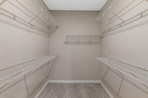 Empty walk-in closet with shelves and a carpeted floor.