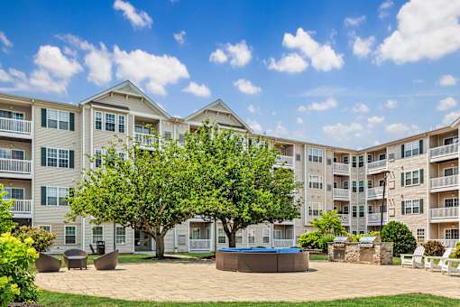A large tree in a courtyard surrounded by apartment buildings.