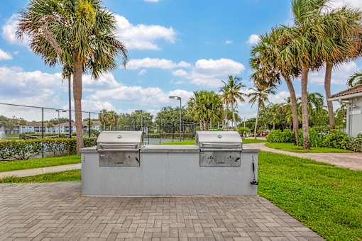 A grill is on a patio with palm trees in the background.