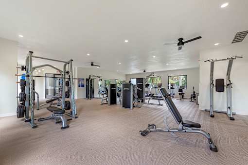 A spacious gym with a variety of equipment including treadmills, weights, and a bench press.
