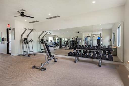 A gym with a mirror, treadmills, and weights.