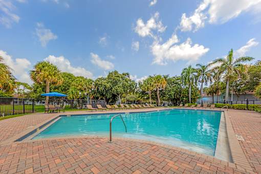 A swimming pool surrounded by palm trees and a blue sky.