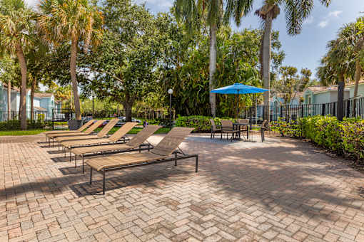 A sunny day at the park with a row of lounge chairs and a blue umbrella.