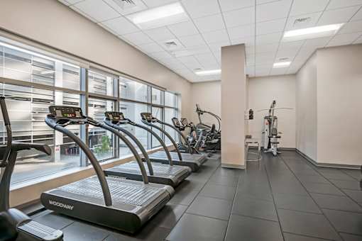 A gym with treadmills and a view of the outside.