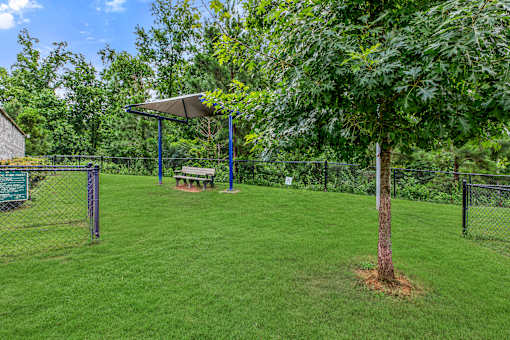 A tree stands in a grassy area with a picnic table and a canopy nearby.
