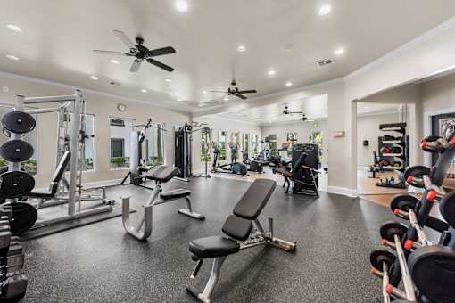 A spacious gym with a variety of equipment including a bench press, a leg press, a squat rack, and a rowing machine.