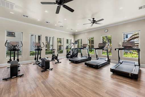 A spacious home gym with treadmills, elliptical machines, and a ceiling fan.