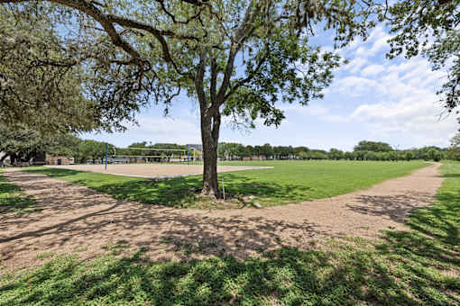 A tree stands in the middle of a grassy field with a dirt path leading to it.