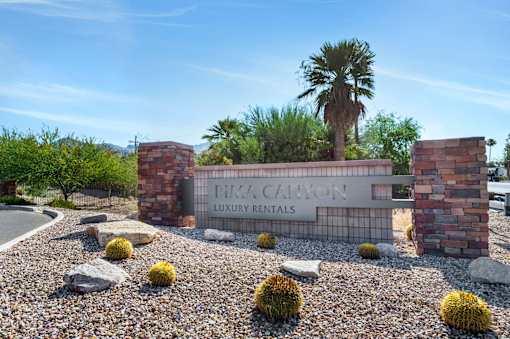 The image shows a sign for TIMA CANYON LUXURY RENTALS in front of a palm tree.