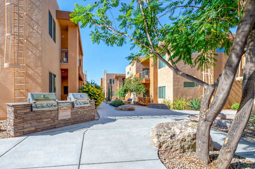 A tree is in front of a building.