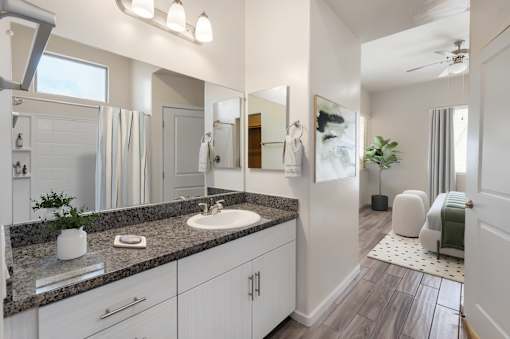 A bathroom with a sink, mirror, and a plant.