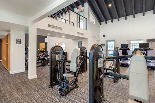 A gym with a row of treadmills and elliptical machines.