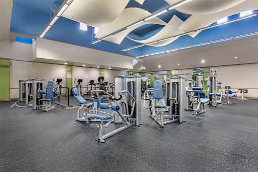 A gym with a variety of exercise equipment for cardio and weight lifting