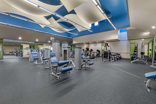 A gym with a variety of machines and excercise equipment for cardio and weightlifting
