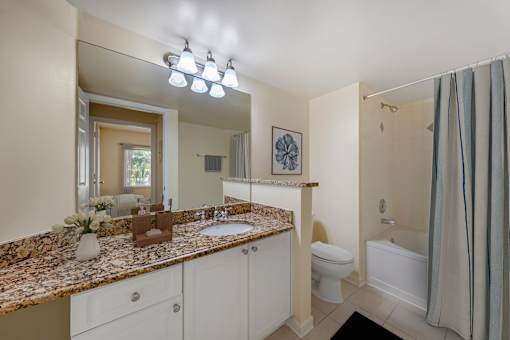 A full bathroom with a granite countertop and a white vanity.