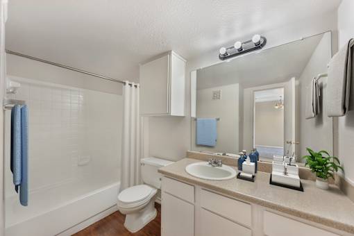 Bathroom with a toilet and sink at Great Hills, Austin Texas