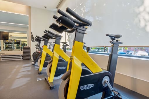 a row of yellow exercise bikes in a gym at The Merc, Massachusetts, 02453