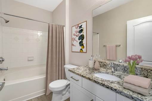 Bathroom with a white toilet, a sink, a bathtub, and a mirror at Thornberry Apartments, Charlotte, NC, North Carolina