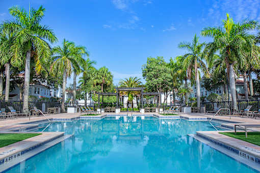 A large swimming pool surrounded by palm trees.