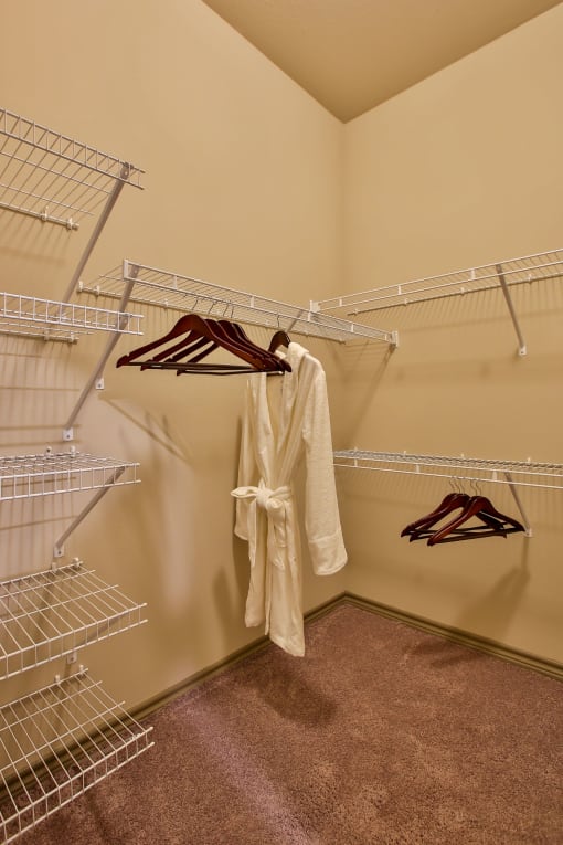 Spacious Closet Storage at The Legend, Texas, 76712