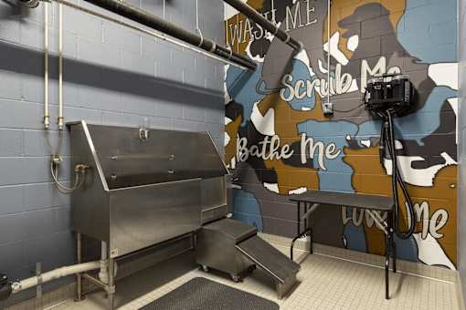 Pet bath at Revel, Minneapolis, MN